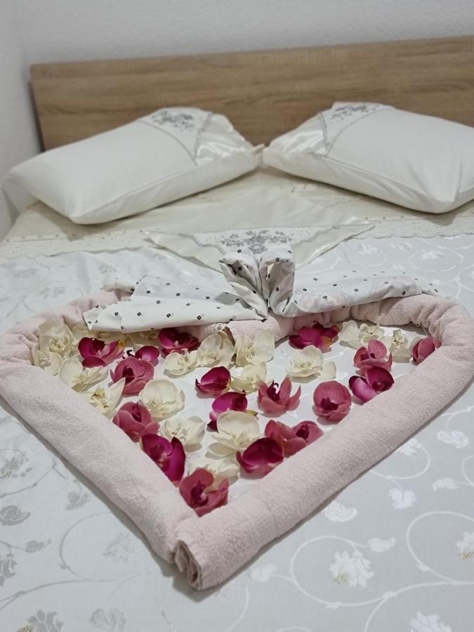 Hostel Bellavista 科佩尔 外观 照片